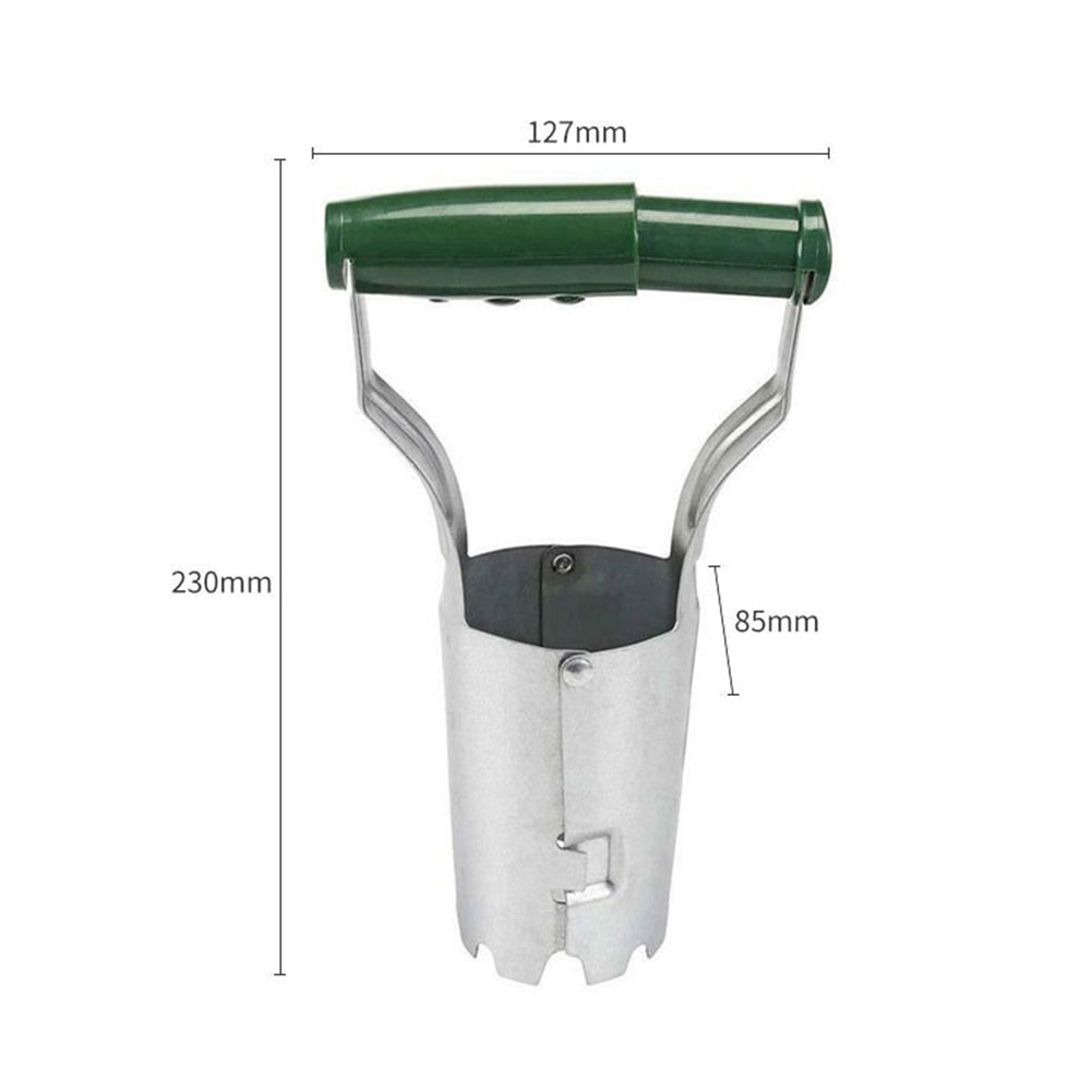 Plantéa - Piantatore per cipolle e piantine