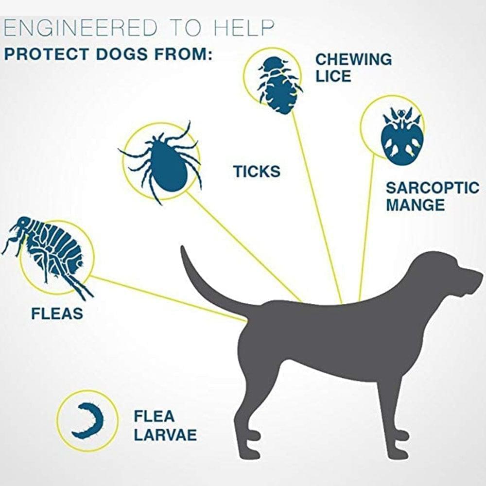 Fidélia - Collare antipulci e antizecche per cani e gatti | Protezione per 8 mesi