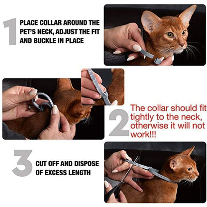 Fidélia - Collare antipulci e antizecche per cani e gatti | Protezione per 8 mesi