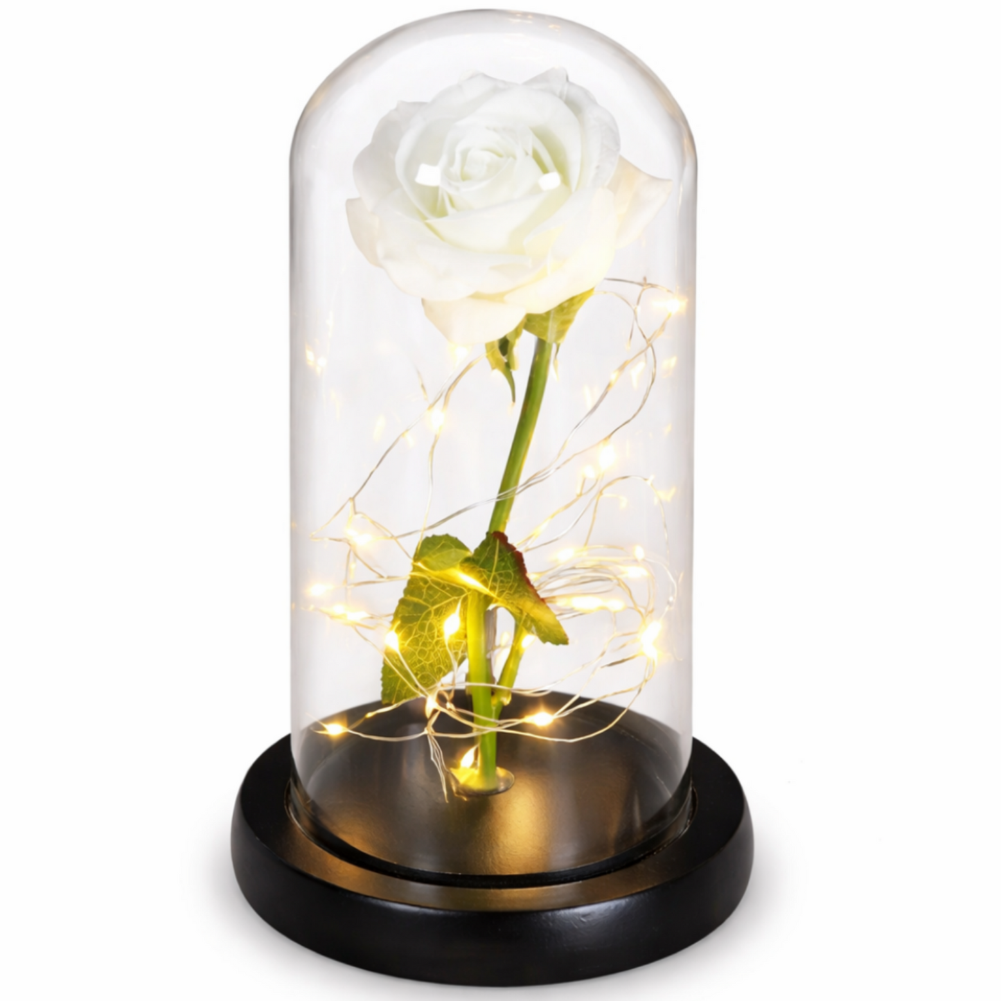 AmorLumi - Rosa Eterna LED