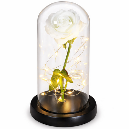 AmorLumi - Rosa Eterna LED