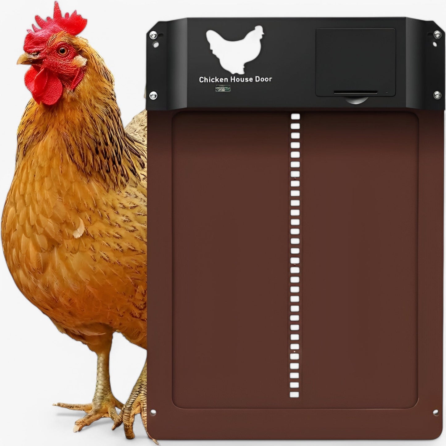 PouleSécur - Porta automatica per polli