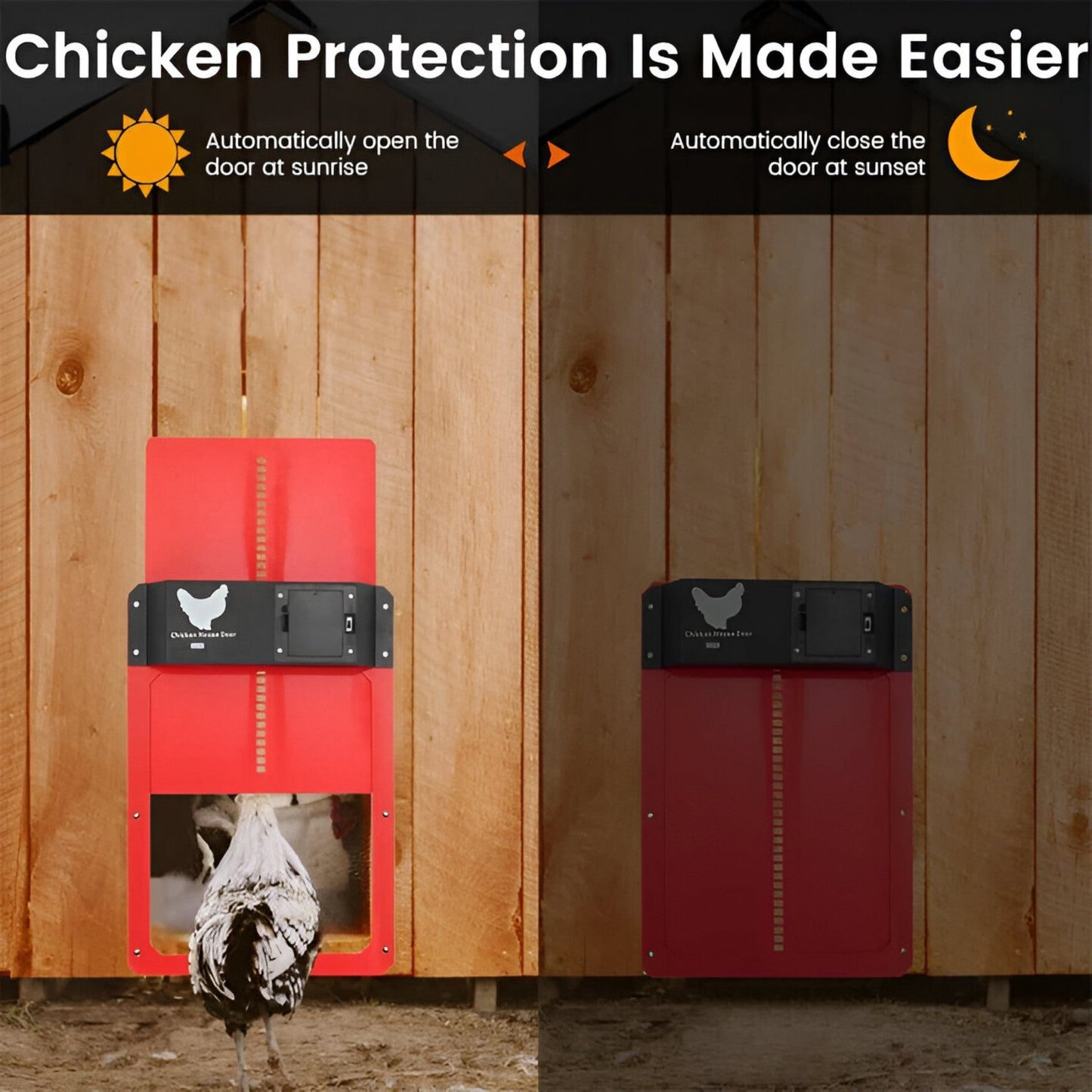 PouleSécur - Porta automatica per polli