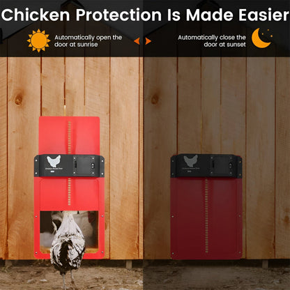 PouleSécur - Porta automatica per polli