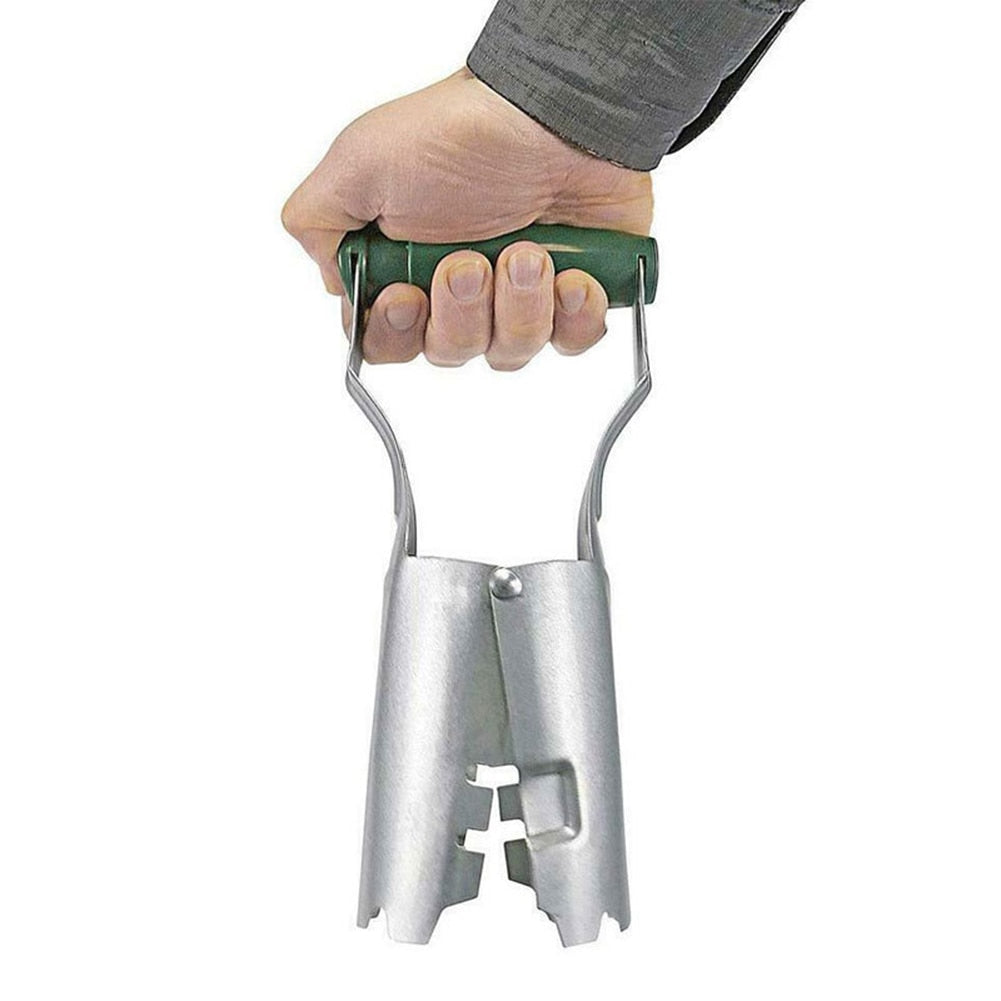 Plantéa - Piantatore per cipolle e piantine