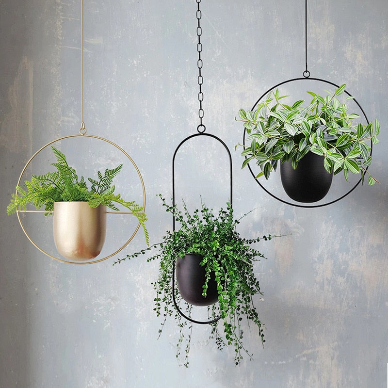 PlanteChic - Sospensione per piante di lusso | Design elegante per interni ed esterni
