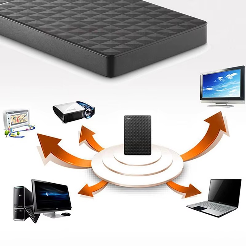 Hard Disk Esterno 8TB Portatile | DataVault