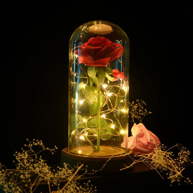 AmorLumi - Rosa Eterna LED