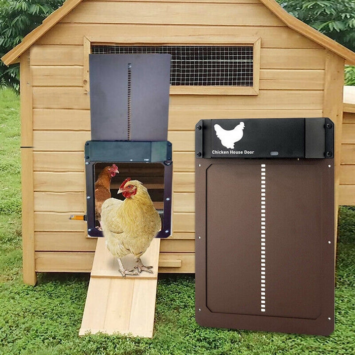 PouleSécur - Porta automatica per polli