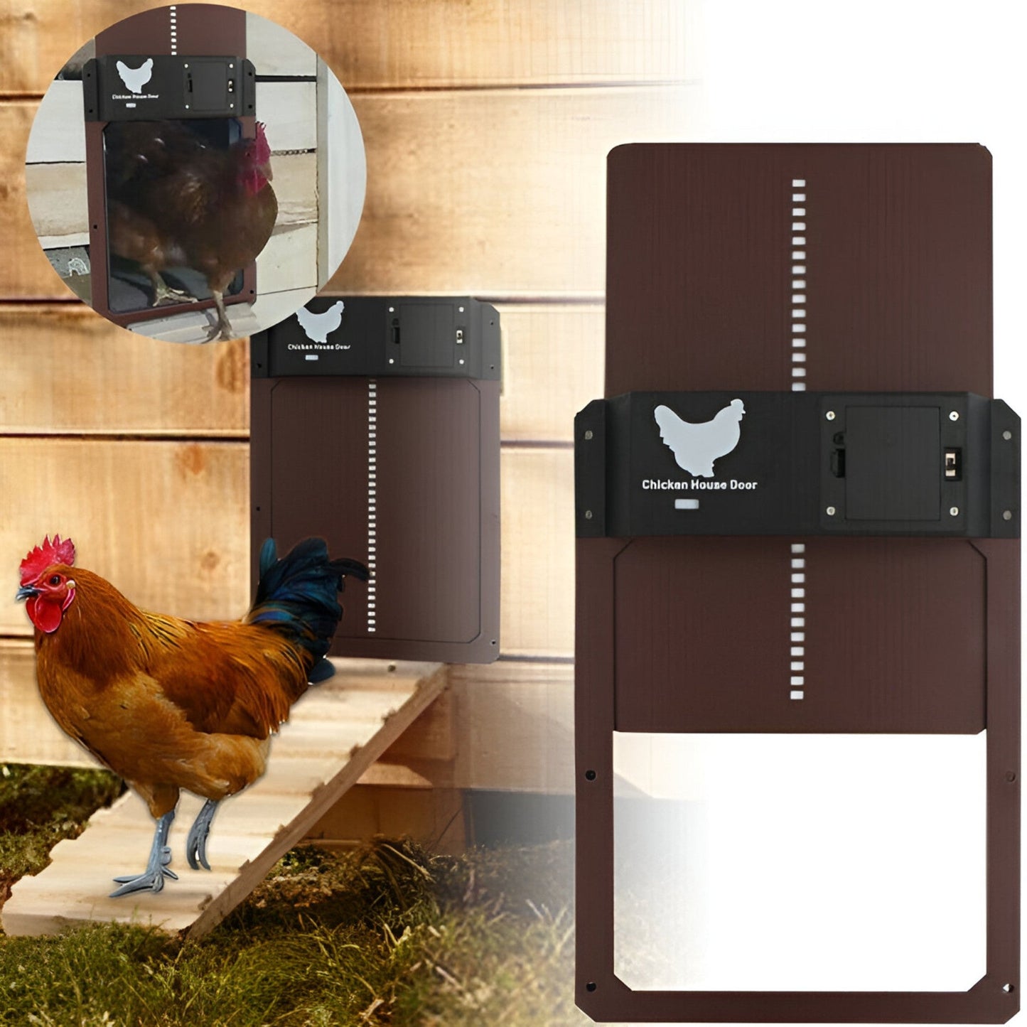 PouleSécur - Porta automatica per polli