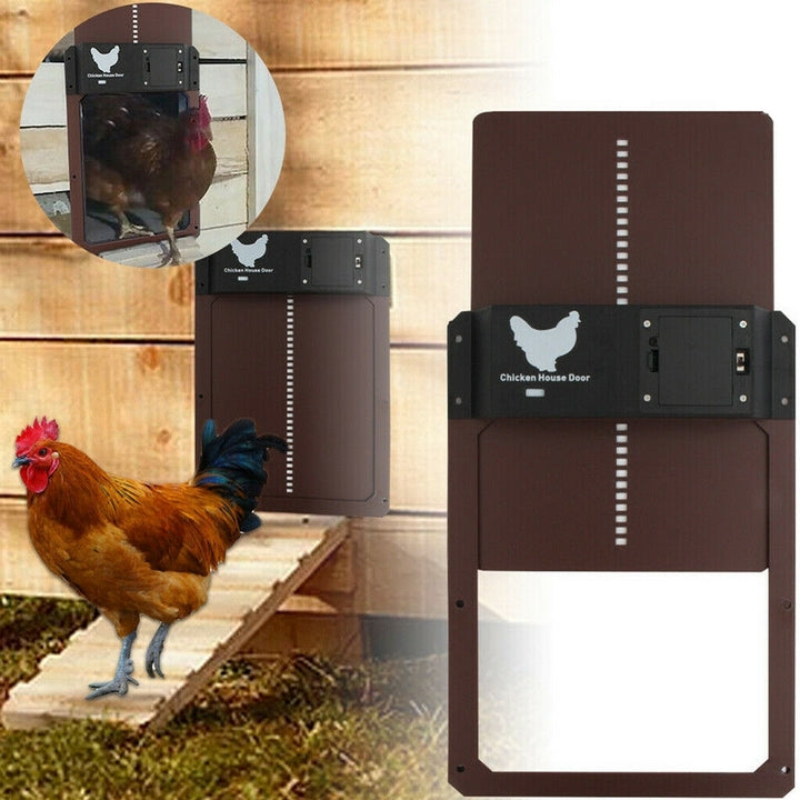 PouleSécur - Porta automatica per polli