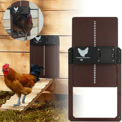 PouleSécur - Porta automatica per polli