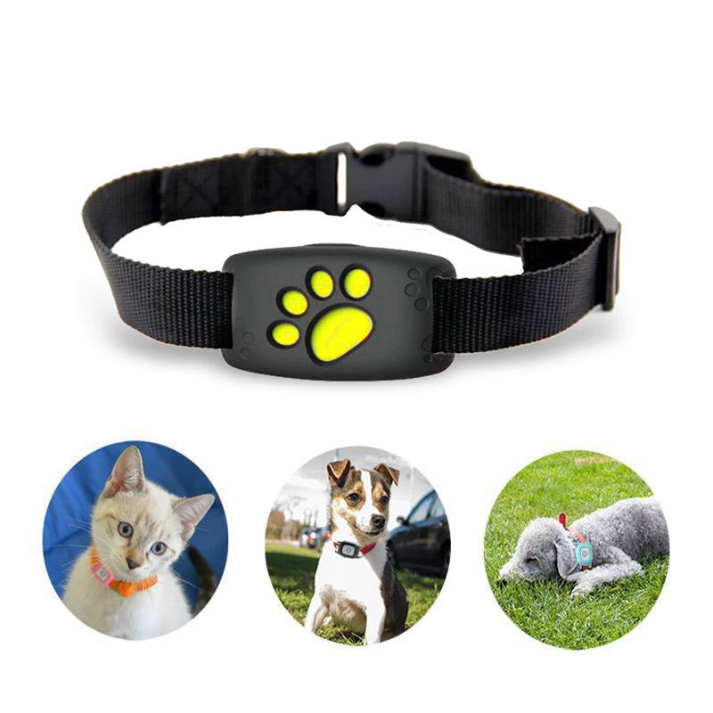 Félivie - Collare GPS per gatti con tracciamento della posizione in tempo reale
