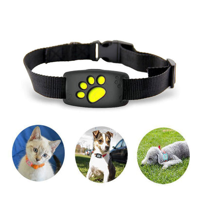 Félivie - Collare GPS per gatti con tracciamento della posizione in tempo reale