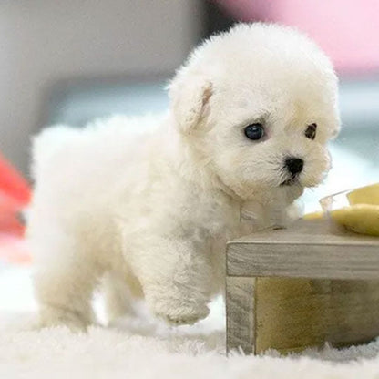 cucciolo interattivo realistico Orvian