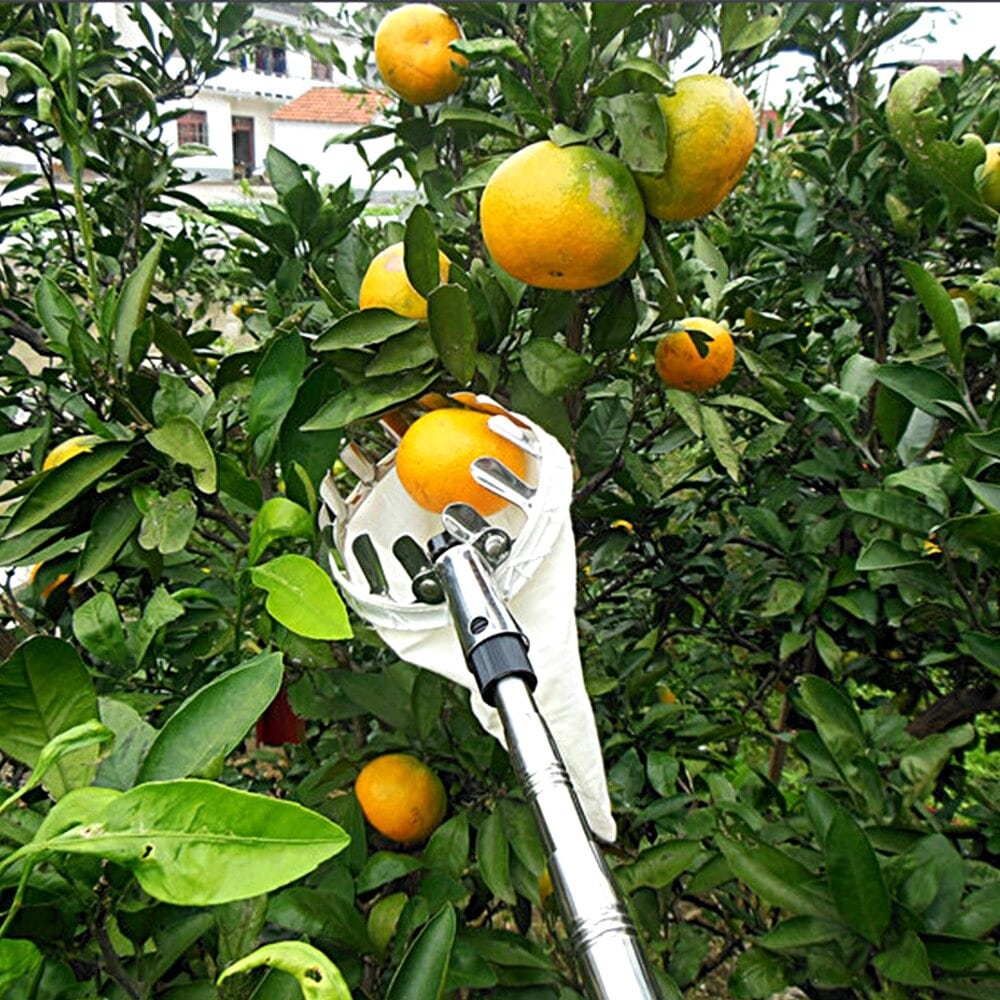 Fruicapt - Cesto per la raccolta della frutta
